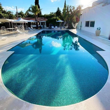 B&B Antico Ulivo Monopoli Zewnętrze zdjęcie