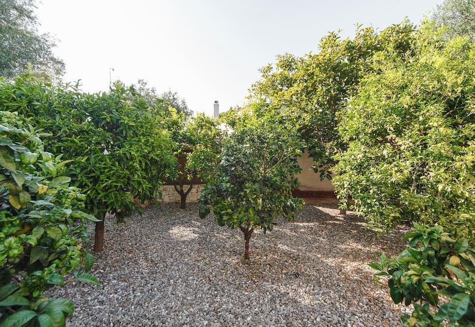 B&B Antico Ulivo Monopoli Zewnętrze zdjęcie